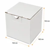 10,5x10,5x10,5cm Locked Box - White - 2