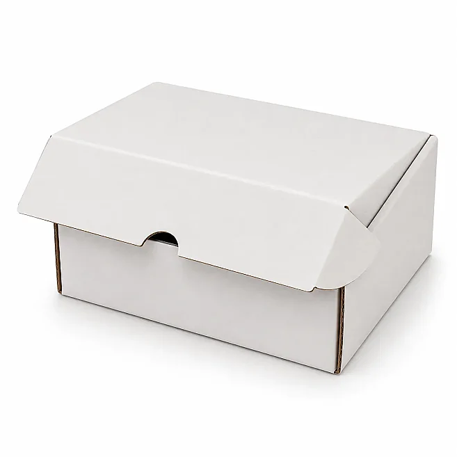 10x10x4.5cm Lock Box - 0.2 Desi Box - Single Corrugated Box - White - Kolicim (1)