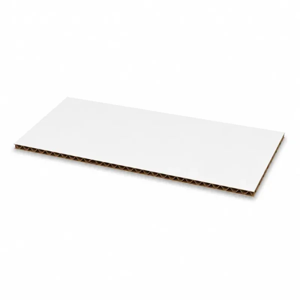 فاصل كرتوني 12×24 سم - أبيض - 3