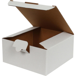 13,5x13,5x6,5cm Locked Box - White - Thumbnail