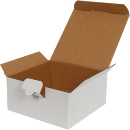 13,5x13,5x6,5cm Locked Box - White - Thumbnail