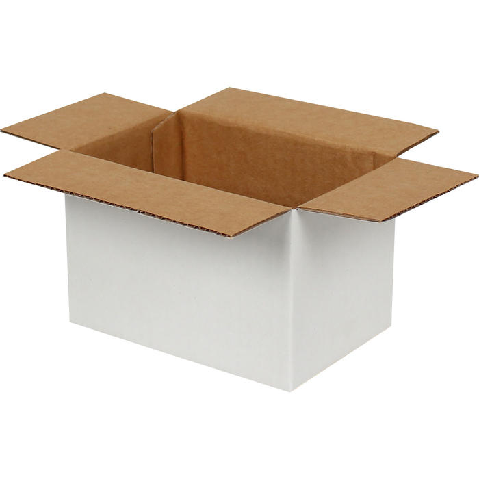 15×10×10 سم صندوق واحد مموج - أبيض