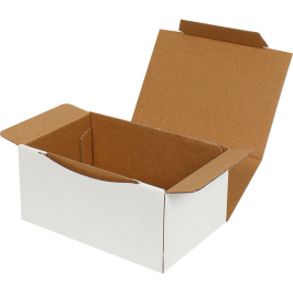 15.5x11x7.5cm Lock Box - 0.4 Desi Box - White - 1