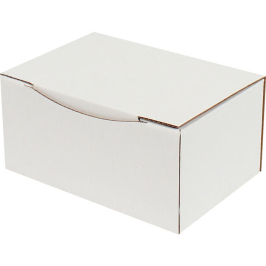15.5x11x7.5cm Lock Box - 0.4 Desi Box - White - 2