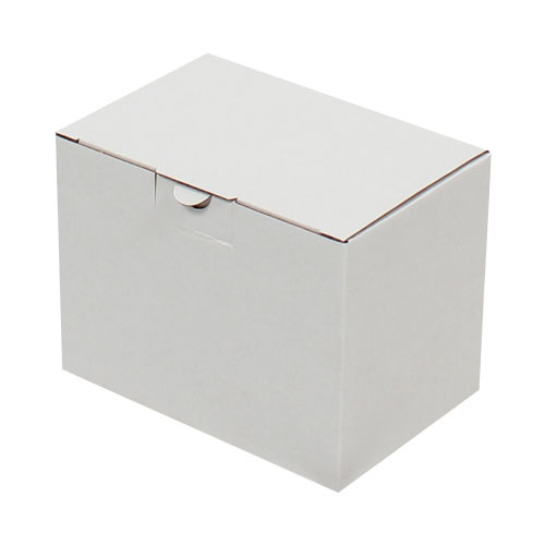 15x10x11cm Locked Box - White