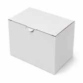 15x10x11cm Box - 0.5 Deci Box - Locked Box - White - 2
