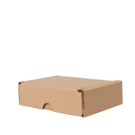 صندوق مموج مزدوج مقاس 15*10*4 سم - صندوق ديسي 0.2 - Kolicim (1)