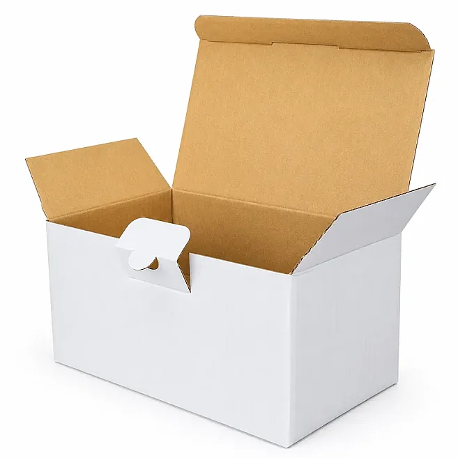 17.5x10x8.5cm Box - 0.5 Desi Box - Packaging Box - White - 1