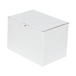 18x13x15,5cm Kutu - 1 Desi Kutu - Kilitli Kutu - Beyaz