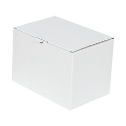 18x13x15.5cm Locked Box - White - Kolicim