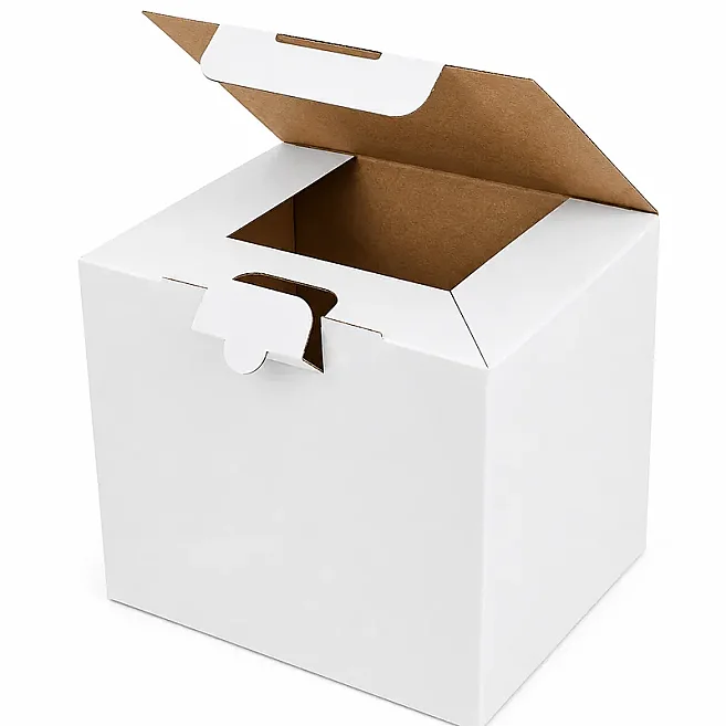 18x13x15.5cm Locked Box - White - Kolicim (1)