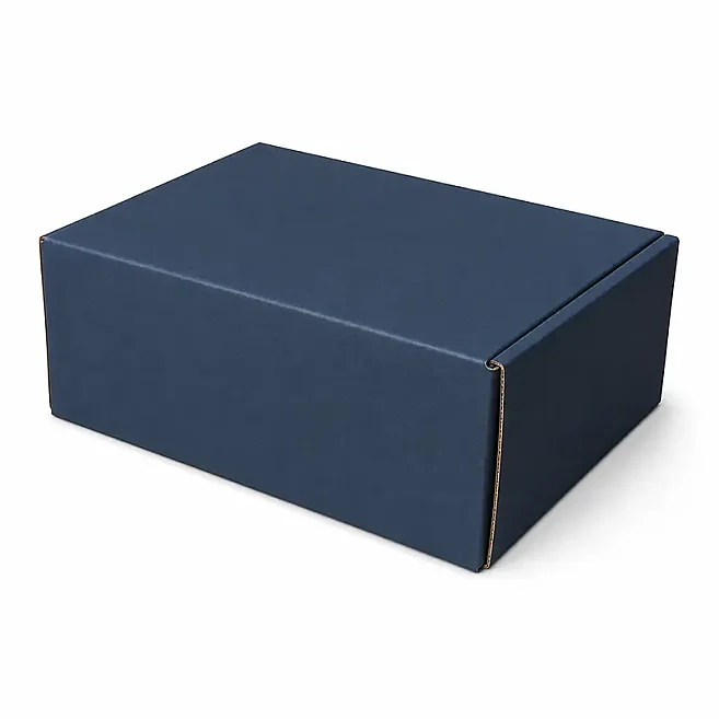 صندوق 19×13×6 سم - صندوق 0.5 ديزي - صندوق قابل للإغلاق - أسود - Kolicim (1)