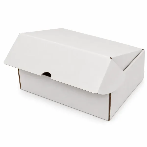 19x13x6cm Locked Box - White - 3