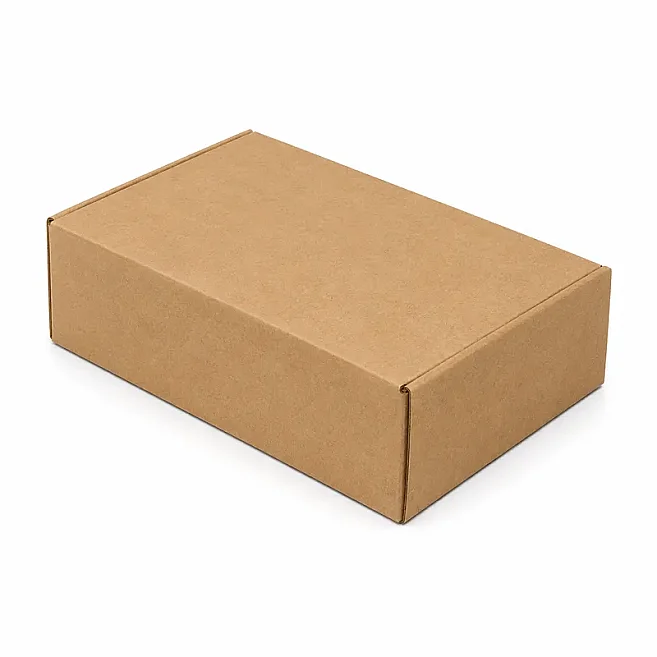 19x13x6cm Kutu - 0,5 Desi Kutu - Kilitli Kutu - Kraft - 3
