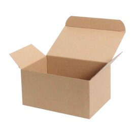 20x12x12cm Kutu - 1 Desi Kutu - Kilitli Kutu - Kraft - Kolicim (1)