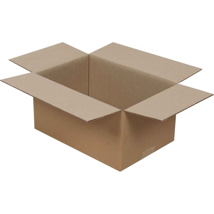 20x15x10cm Box - 1 Desi Box - Double Corrugated Box