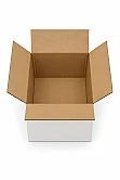 20x15x10cm Box - 1 Desi Box - Double Corrugated Box - White - 3