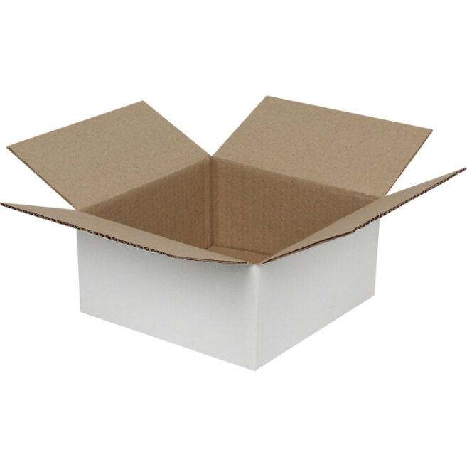 20x20x10cm Single Corrugated Box - White - Kolicim (1)