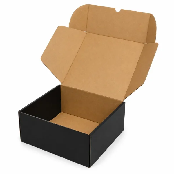 21x21x10cm Black Box - 1