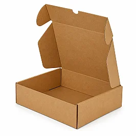 22.5x12x8cm Box - 0.7 Desi Box - Locked Box - Kraft - 1