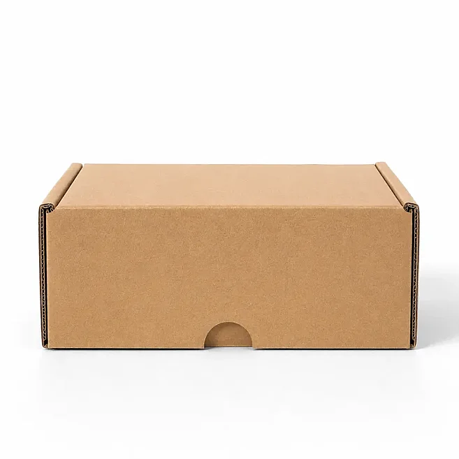 22.5x12x8cm Box - 0.7 deci Box - Double Slotted Locked Box - 4