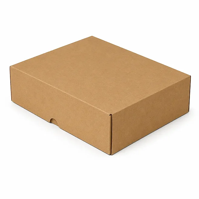 22,5x12x8cm Kutu - 0,7 Desi Kutu - Tek Oluklu Kilitli Kutu - Kraft - 3