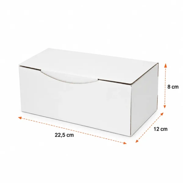 22.5x12x8cm Box - 0.7 Desi Box - Locked Box - New Type - White - Kolicim (1)