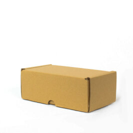 صندوق 22.5*12*8 سم - صندوق 0.7 ديسي - صندوق مقفل بفتحتين - Kolicim (1)