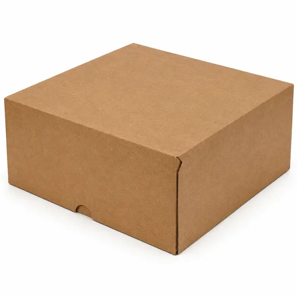 24.5x24.5x11,5cm E-Commerce Cargo Box - Kraft - Kolicim (1)