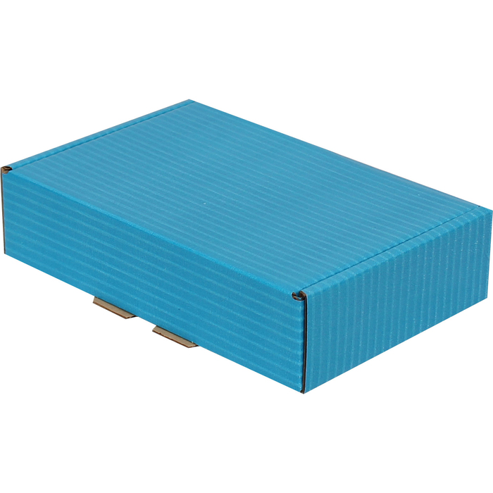 24x16.5x6cm Locked Box - Blue