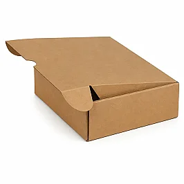 24x17x4cm Box - Cut Box - 0.5 Desi Box - Kraft - 1