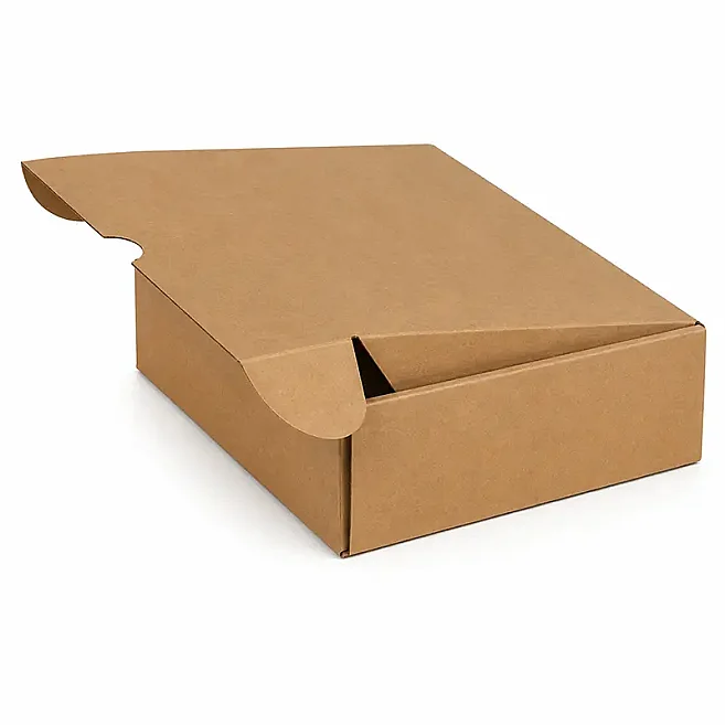 24x17x4cm Box - Cut Box - 0.5 Desi Box - Kraft - 1