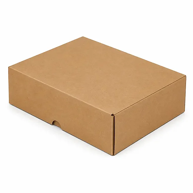 24x17x4cm Box - Cut Box - 0.5 Desi Box - Kraft - Kolicim (1)