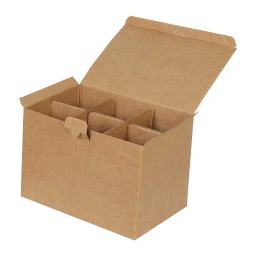 25x17x17cm Box of Tall Glasses with Separator - Kraft