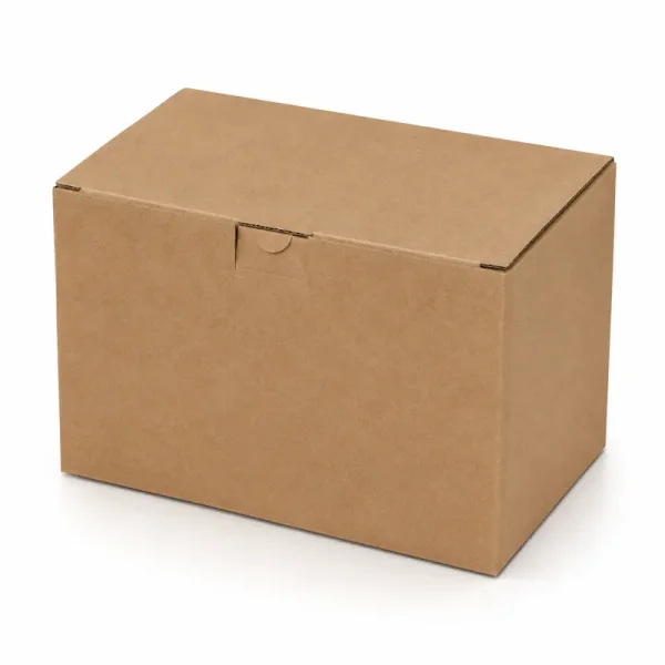25x17x17cm Box of Tall Glasses With Separator - Kraft - Kolicim (1)