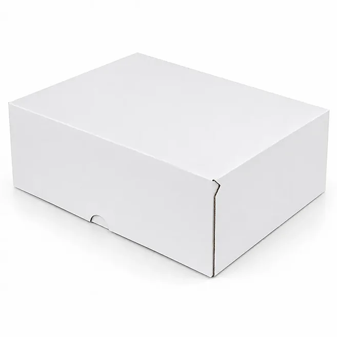 25x20x10cm E Ticaret Kutusu - 1,6 Desi Kutu - 4 Nokta Kutu - Beyaz - 2