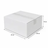 25x20x10cm Single Corrugated Box - White - 5