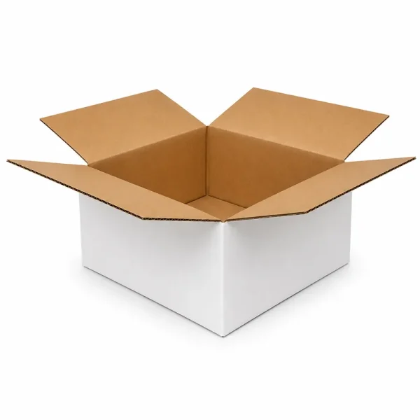 25x20x10cm Single Corrugated Box - White - 1