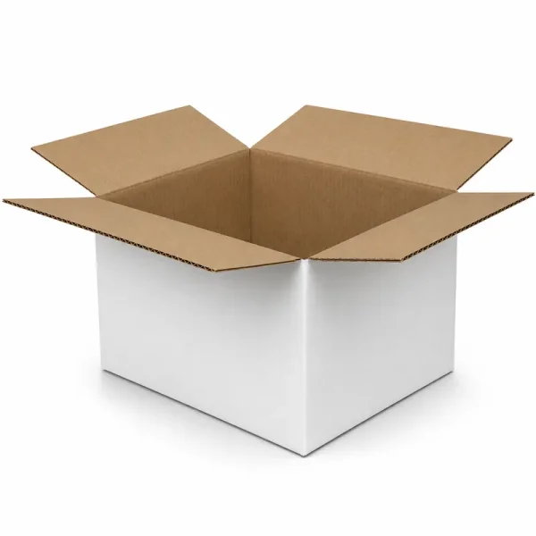 25x20x15cm Single Corrugated White Box - 1
