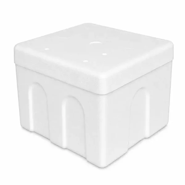25×20×17.5 cm Styrofoam Ice Cream Box – 1 Kg - 1