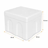 25×20×17.5 cm Styrofoam Ice Cream Box – 1 Kg - 2