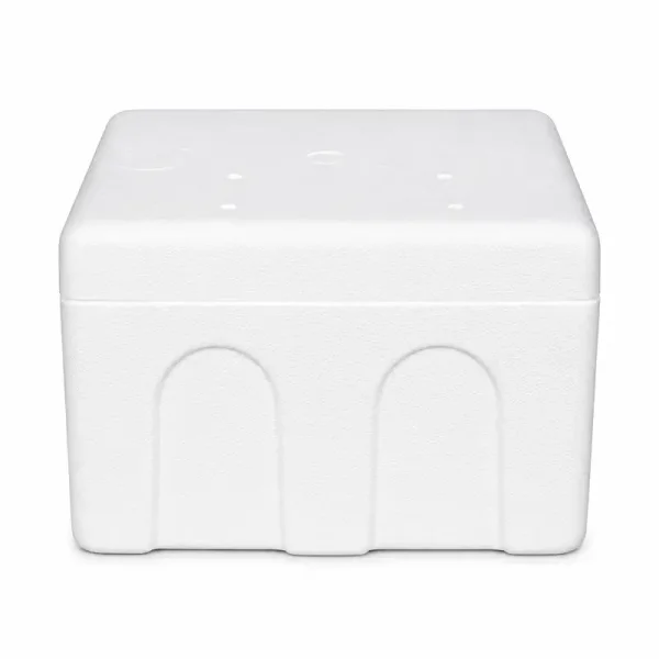 25×20×17.5 cm Styrofoam Ice Cream Box – 1 Kg - 4