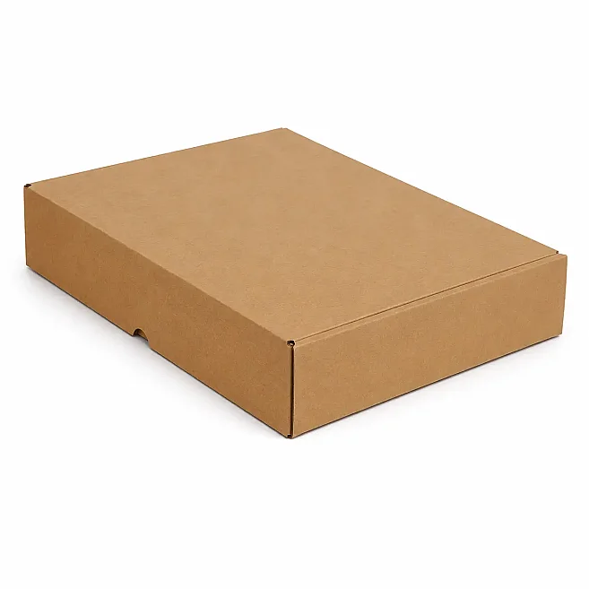 28x20x12cm Box - 2 Desi Boxes - Ziplock Box - Kraft - 3