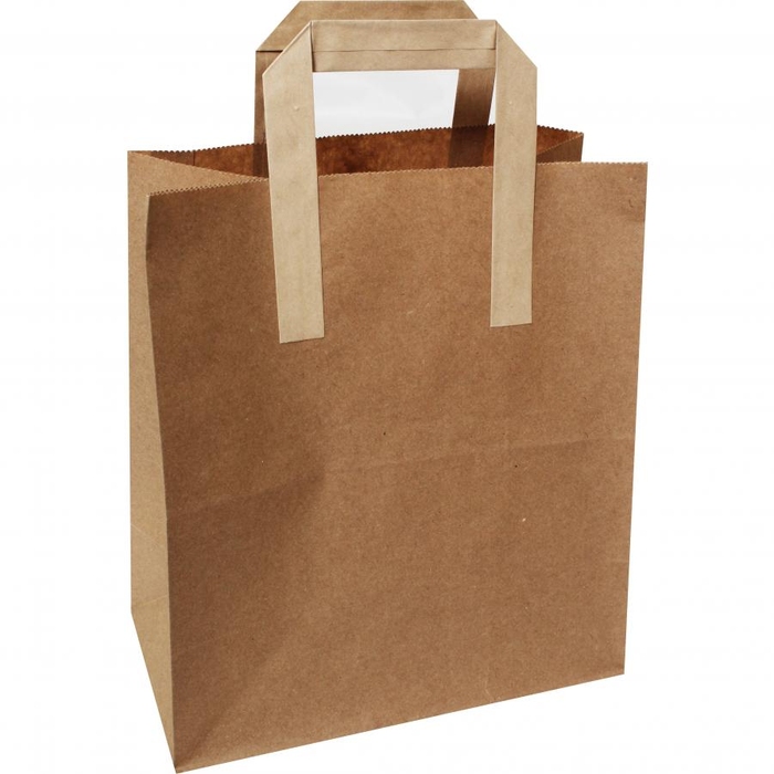 28x25x14cm Cardboard Bag [25 in a pack]