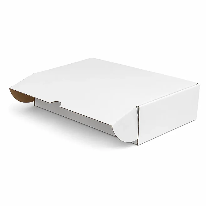 30x20x10cm Box - 2 Desi Box - Locked Box - White - Kolicim (1)
