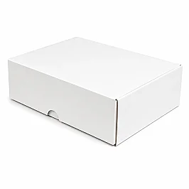 30x20x10cm Box - 2 Desi Box - Locked Box - White - 3