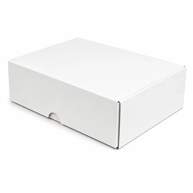 30x20x10cm Box - 2 Desi Box - Locked Box - White - 3
