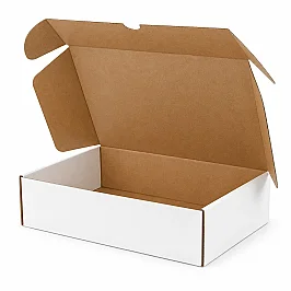 30x20x10cm Box - 2 Desi Box - Locked Box - White - 1