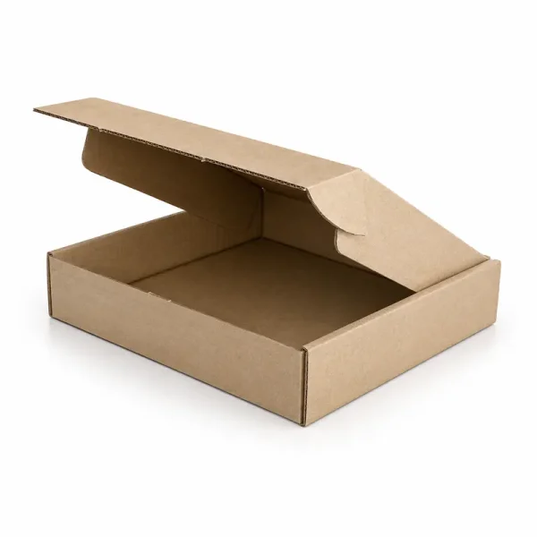 30x26x5,5cm Double Slotted Locked Box - Kraft - Kolicim (1)