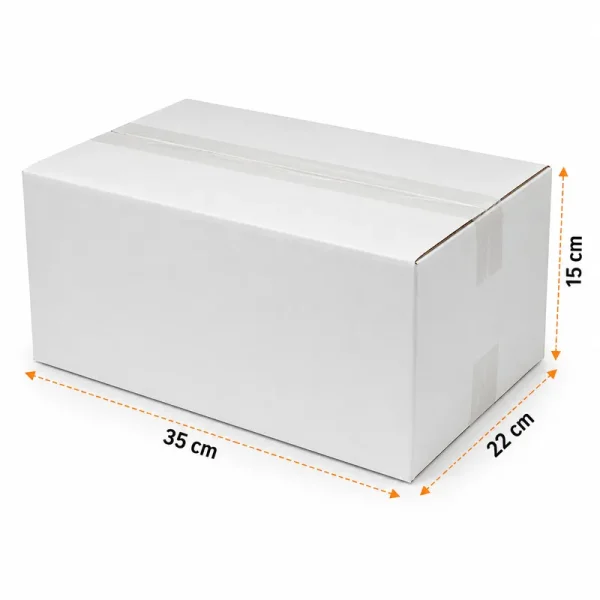 35x22x15cm Double Corrugated Box - White - Kolicim (1)